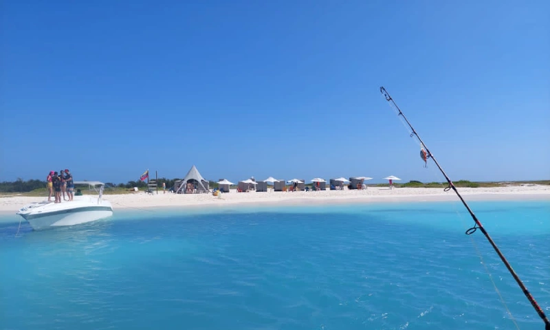 Isla La Tortuga El Tesoro Escondido Del Caribe Venezolano