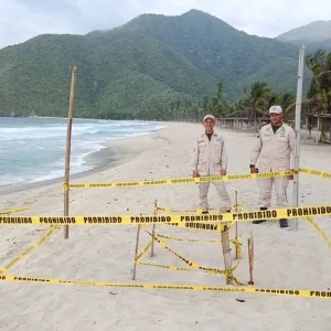 nidos de tortugas marinas en las costas de Aragua
